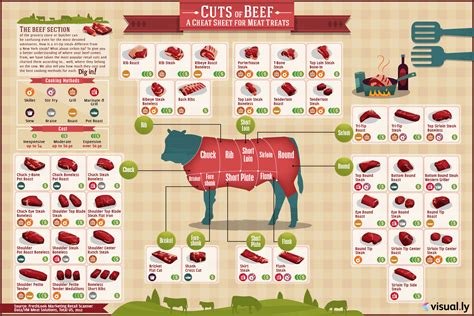 Cuts of Beef Chart | The BBQ Butcher