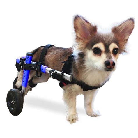 Buy Walkin' Wheels Dog Wheelchair - for Small Dogs 11-25 Pounds ...