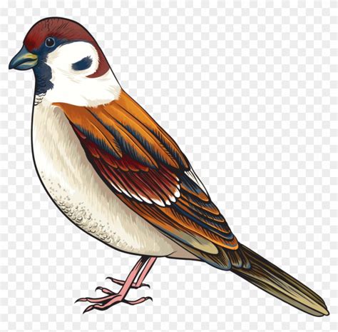 Goldfinch Clipart Maya Bird 622608 5587489 Clipart - Bird Clipart Png ...