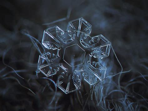 Snowflakes, close-up