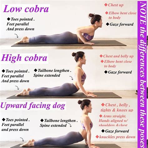 Ideen fur Cobra Pose Variations - Yoga x Poses