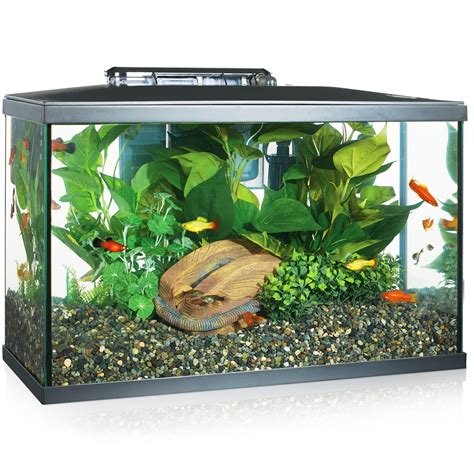 Aqueon Frameless LED Aquarium Kit, 10 | lupon.gov.ph