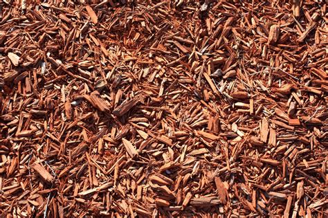 Mulch Wood Chips 2000x1333 Background Image, Wallpaper or Texture free ...