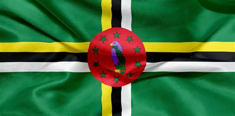 Flag of Dominica - Photo #8268 - motosha | Free Stock Photos