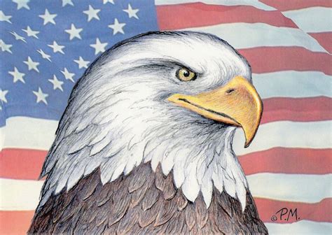 Bald Eagle Pencil Drawing at GetDrawings | Free download