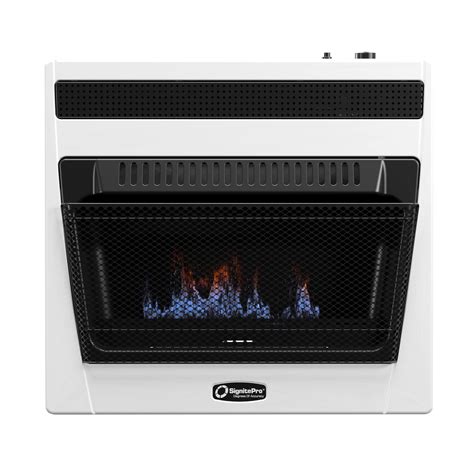 Blue Flame Natural Gas Room Heater - 30k BTU Ventless Gas Heater with ...