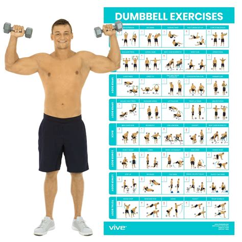 Buy Vive Dumbbell Exercise Home Gym Workout For Upper Lower Full Body ...