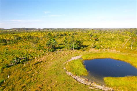 40 Acres Property Farmland » Vida & Co. Ltd - Belize Real Estate