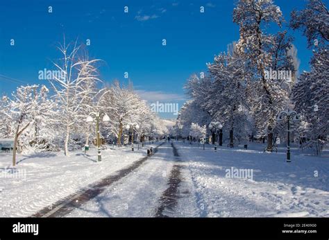 Macedonia – Bitola city – Snow in city park during winter Stock Photo ...