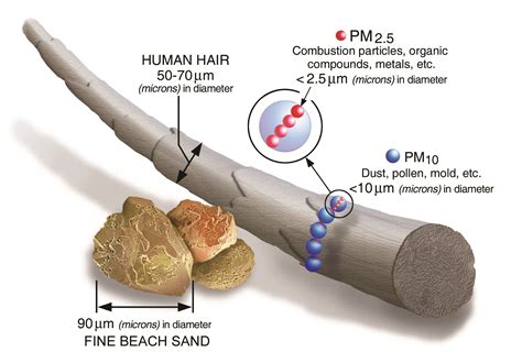 Particulate Matter (PM) Basics | US EPA