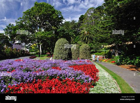 Colourful floral displays, Wellington Botanic Garden, Wellington ...