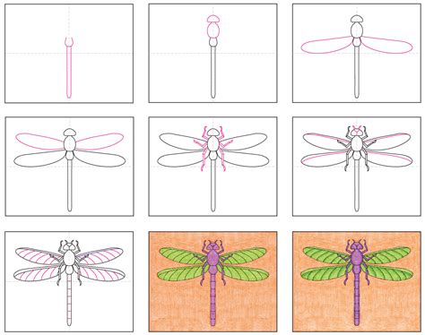 Draw a Realistic Dragonfly · Art Projects for Kids