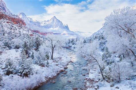 Winter Paradise | Zion National Park, Utah | Lance B. Carter Photography