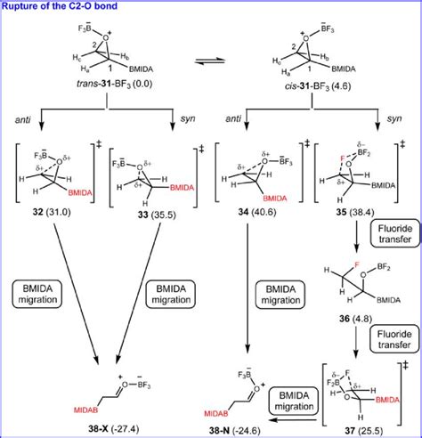 Reaction pathways of the rearrangement of the BF 3-coordinated oxiranyl ...