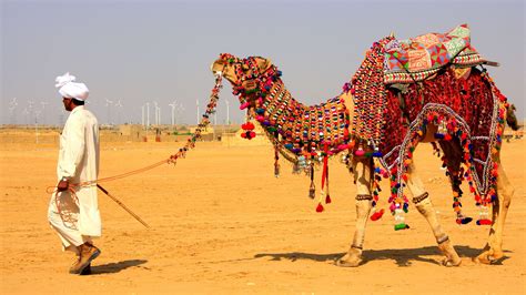 Jaisalmer Desert Festival Wallpapers - Wallpaper Cave