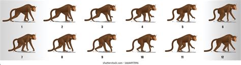 Monkey Running Images, Stock Photos & Vectors | Shutterstock