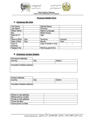 Paano Mag Fill Up Ng Bio Data - Fill and Sign Printable Template Online