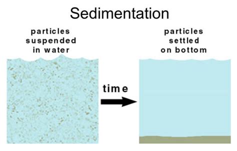 SEDIMENTATION - Definition, Principle, Process and Examples - CBSE ...