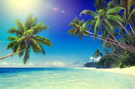 Beach Virtual Background Zoom