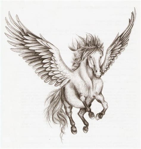 pegasus drawing - Yahoo Search Results Yahoo Image Search Results ...