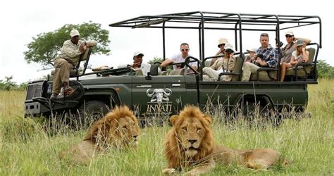 Ultimate Guided Kruger Safari Package