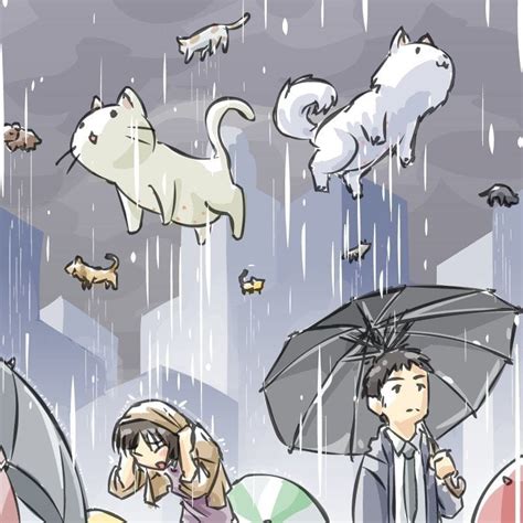 Create meme "it s raining cats and dogs, it rains cats and dogs, rain ...