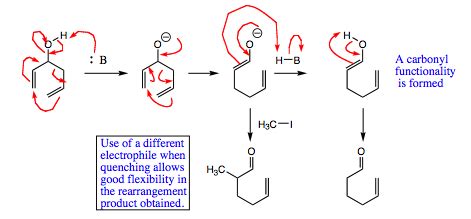 Chapter 13, pages 19 and 20