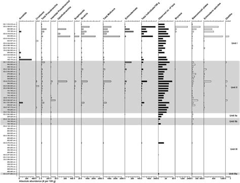 Absolute abundances of macrofossil groups in analysed British ...