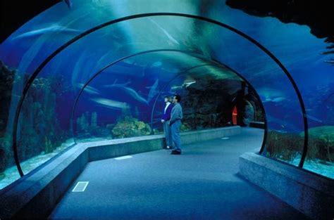 Omaha-zoo-Scott-Aquarium | Omaha zoo, Zoo, Tennis court