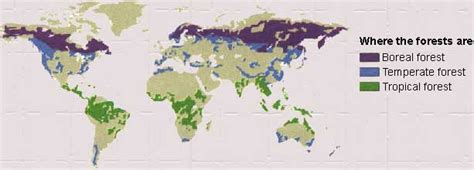 Dimensions of need - Forests of the world