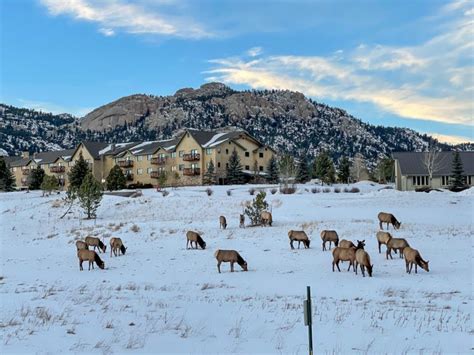 Complete Guide To Enjoying Estes Park in Winter