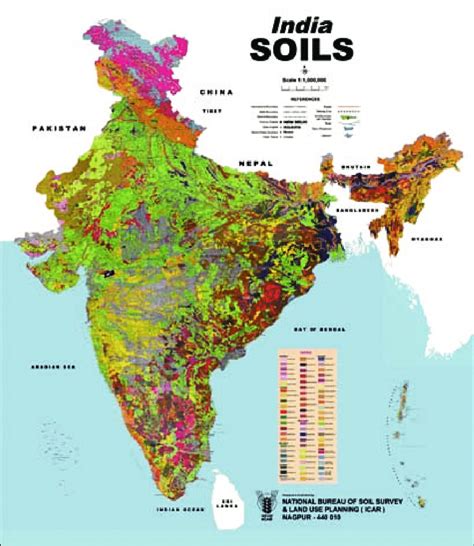 Soil Map of India at 1:1 Million scale | Download Scientific Diagram