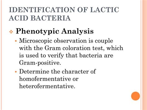 PPT - Lactic Acid Bacteria PowerPoint Presentation, free download - ID ...