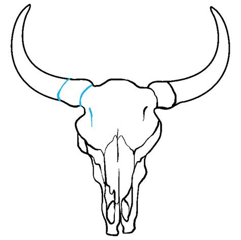 How to Draw a Bull Skull - Really Easy Drawing Tutorial | Bull skull ...