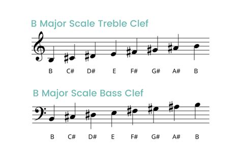 B Major Scale On The Piano - Notes, Fingerings & More