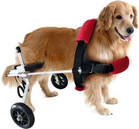 AISHANG Dog Mobility Harness,dogs Strollers,dog Wheelchair Dog Mobility ...