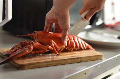 Can dogs have lobster? Is it really safe?