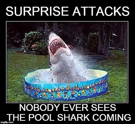 We're gonna need a bigger pool... - Imgflip