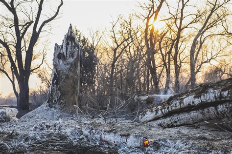 A Wildfire Has Grown To The Largest In Texas State History, Crosses ...