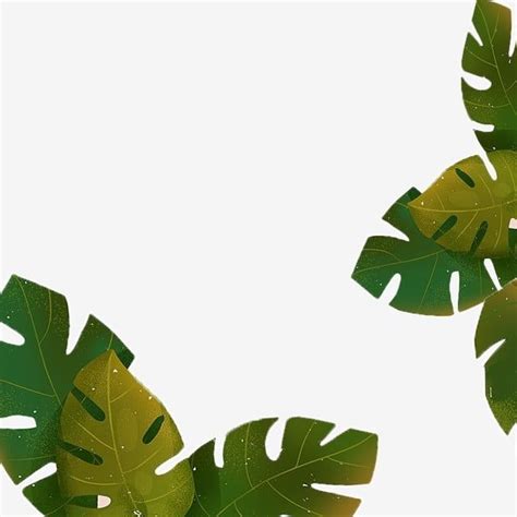 Plant Leaf Clipart Transparent PNG Hd, Plant Leaf Cartoon Png Material ...