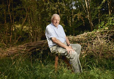 Sir David Attenborough on the BBC's mesmerising new TV show, Planet ...