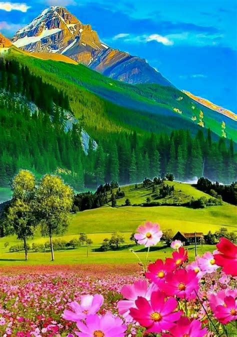 Paisajes hermosos | Ilustraciones de naturaleza, Hermosa naturaleza ...