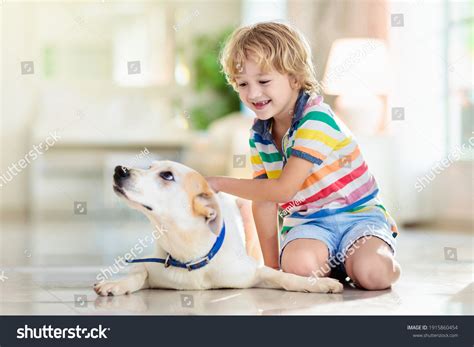 Child Playing Baby Dog Kids Play Stock Photo 1915860454 | Shutterstock