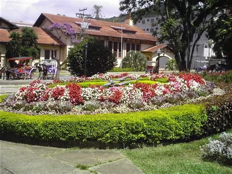 Fotografia & Cia: Relógio floral -Poços de Caldas - Veja mais fotos da ...