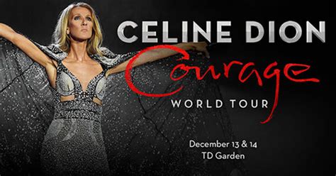 Celine Dion: Courage World Tour in Boston at TD Garden