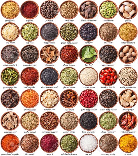 large collection of different spices and herbs with labels | Spices and ...