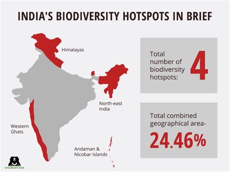 Decoding An Important Aspect Of Biodiversity - Wildlife SOS