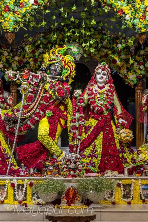 Sri Radha-Madhava flower outfits darshan! | Mayapur.com