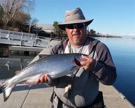 Complete Guide to Sacramento River Fishing (2023) - Best Fishing in America