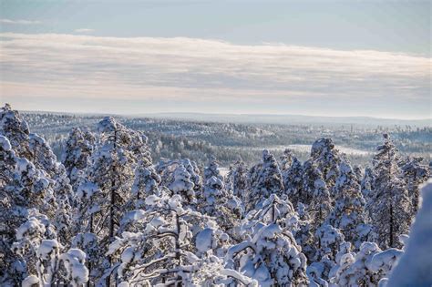 Explore the Wilderness - Photography expedition - Beyond Arctic Rovaniemi